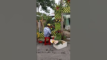 Cắm hoa trang trí thêm cho chiếc cổng cưới lá dừa #shorts