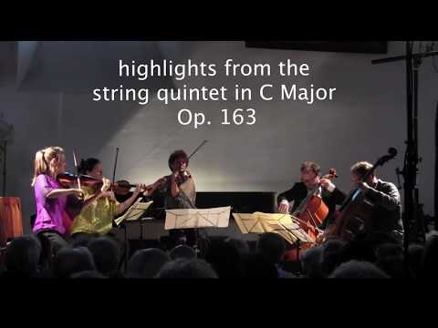 Schubert Quintet Op 163 - Highlights