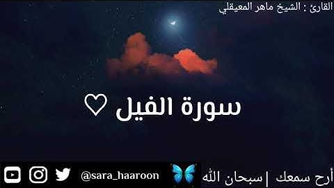 سورة الفيل بصوت الشيخ ماهر المعيقلي