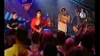 Sense- Terry Hall & The Lightning Seeds. chords