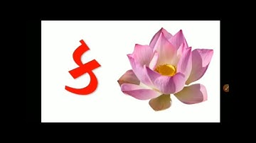 SET - I/02/GUJ/01.02