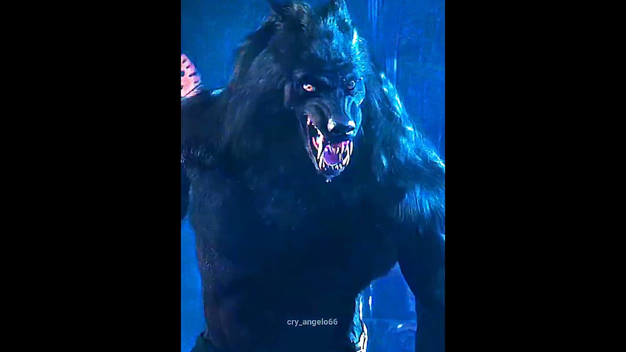 MICHAEL CORVIN Vs VAN HELSING