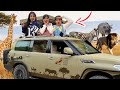 رحلة سفاري إلى حديقة الحيوانات العين شفا 