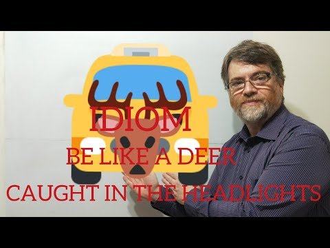 English Tutor Nick P Idioms (231) Be Like a Deer Caught in the Headlights