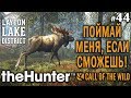 theHunter call of the wild #44 🔫 - Поймай Меня, Если Сможешь! - Винтовка - Лось, Медведь