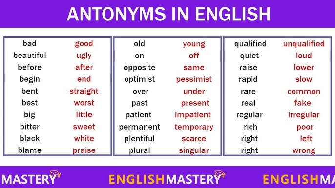 150+ Synonyms in English That Are Easy To Learn 