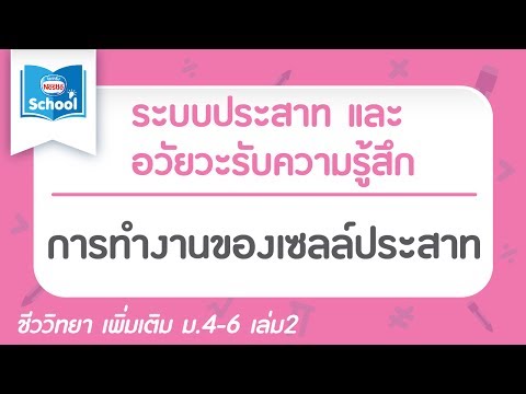 8.3 การทำงานของเซลล์ประสาท