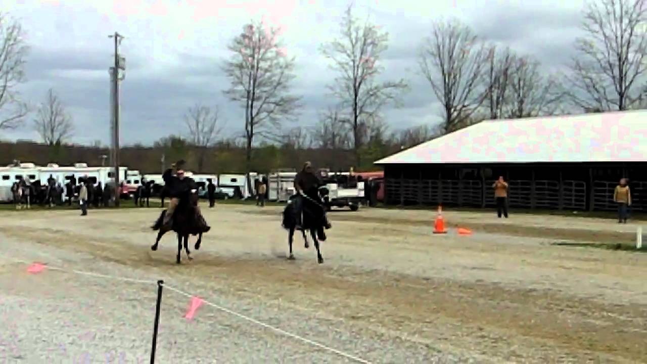 Speed Racking Horse Kickin' Yankee (a.k.a. "Bear") Big Guns 2011