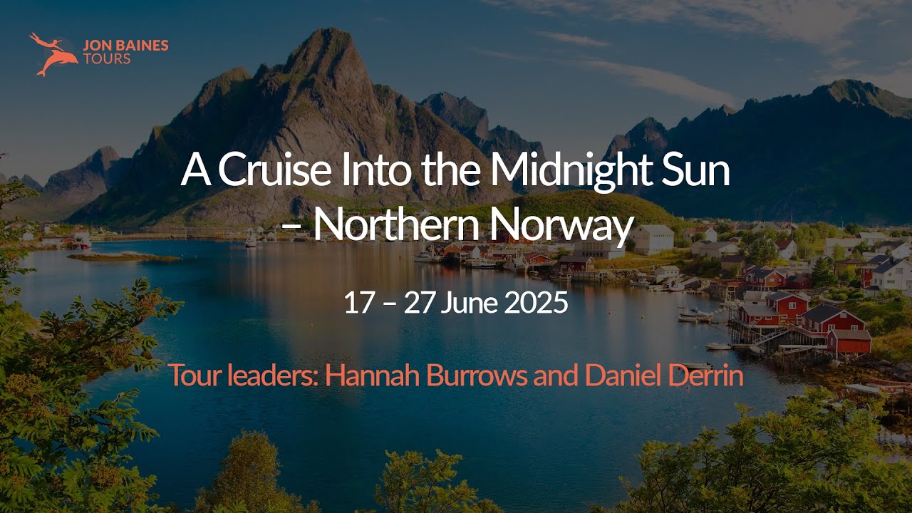 A Cruise Into the Midnight Sun: Northern Norway, with Hannah Burrows and Daniel Derrin