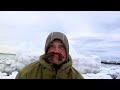 Wild Stallions by Meathead Films