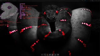 Targeting Israeli Systems: BiBi Linux Unveiled | Cracking Israeli Systems: BiBi Linux's Approach.