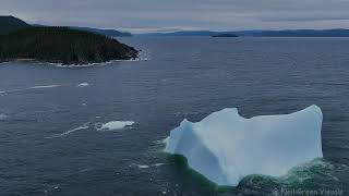 Westport Nfld iceberg