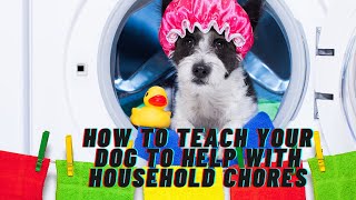 How to teach your dog to help with household chores