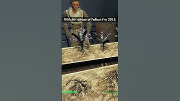 Fallout and The Elder Scrolls Shared Universe Theory