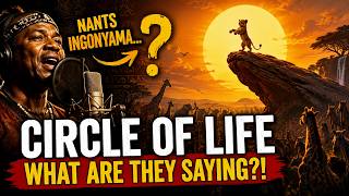 What Does “Circle of Life” Mean? | The Lion King Song & Lyrics Explained