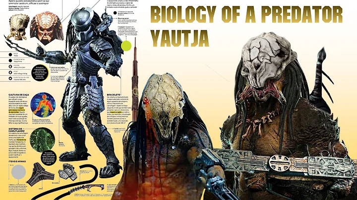 Origins, Biology And Life Cycle Of A Predator (Yautja)