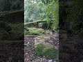 "Solo disfruta". Manantial y panorámica de Xalapa, desde bosque de niebla.