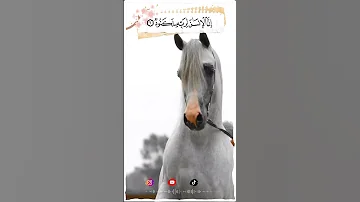 والعاديات ضبحا عبدالرحمن مسعد 