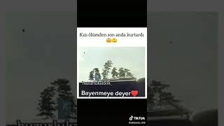 Tik Tok Azerbaycan20203