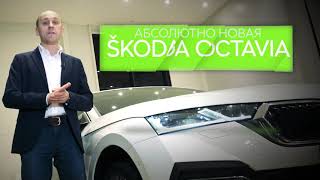 Ценные встречи с новой ŠKODA OCTAVIA в Авто Премиуме