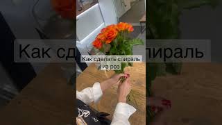 Как сделать спираль из роз #надежда #shortvideo #flower