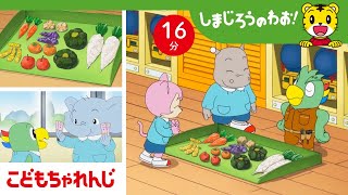 【16分アニメ】やおやさんにチャレンジ☆ | おみせやさんごっこ・ごっこ遊び | しまじろうのわお！アニメ | しまじろうチャンネル公式