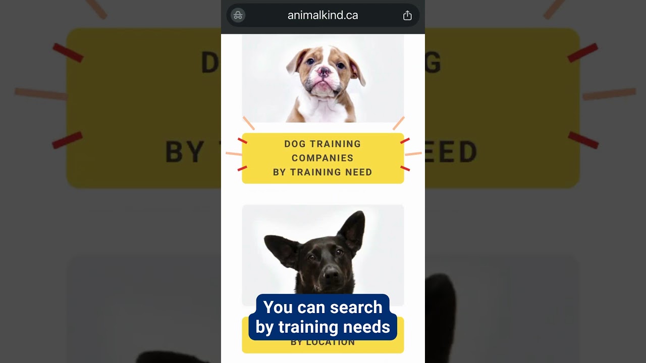 Finding a dog trainer in B.C. | BC SPCA AnimalKind