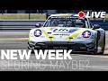 Daily Races on LMU - Sebring maybe? | LMU LIVE
