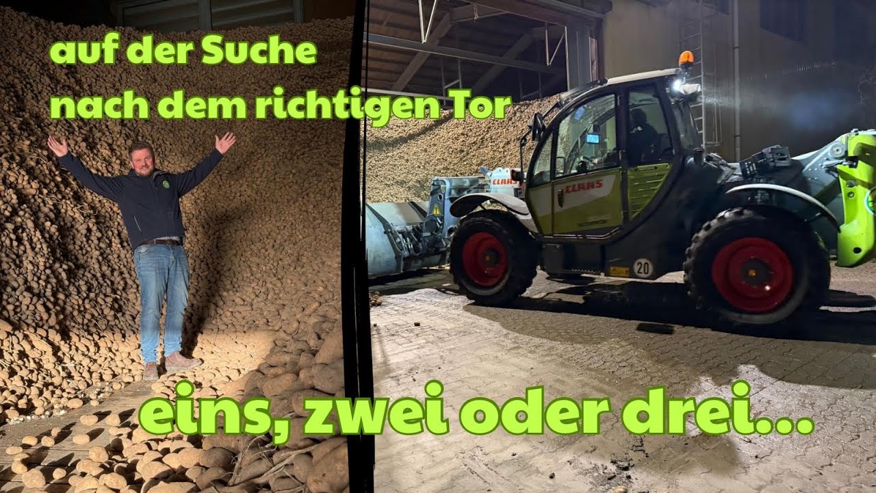 Verladung läuft auf Hochtouren!!! Wir öffnen 2 weitere Tore!!🚛+🥔=🍟
