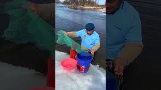 Best Unique Tools Fish Trap  Of Catching Lot Of Fish#shorts #viral #fishing