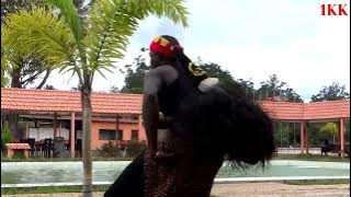 The Man Man Bravo Ft One H Dizoh Muhalizo Hanisabisi  Video By 1KK
