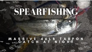Spearfishing at night  caught Massive  46lb Tarpon!!