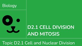 D2.1 Cell Division and Mitosis [IB Biology SL\/HL]