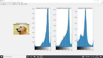 Grayscale Image & Color Image Histogram | MATLAB