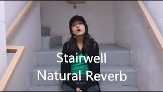Lord of the Rings: Enya - May it Be (stairwell cover)