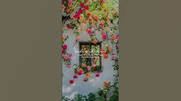 سورة هود الآية 56 #المصحف #اكسبلور #راحة_نفسية