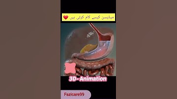 How Drug absorbed in the body | Pharmacokinetics | 3D Animation #doctor