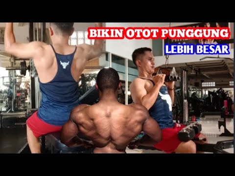 Video: Punggung Nurali: Zon Peningkatan 