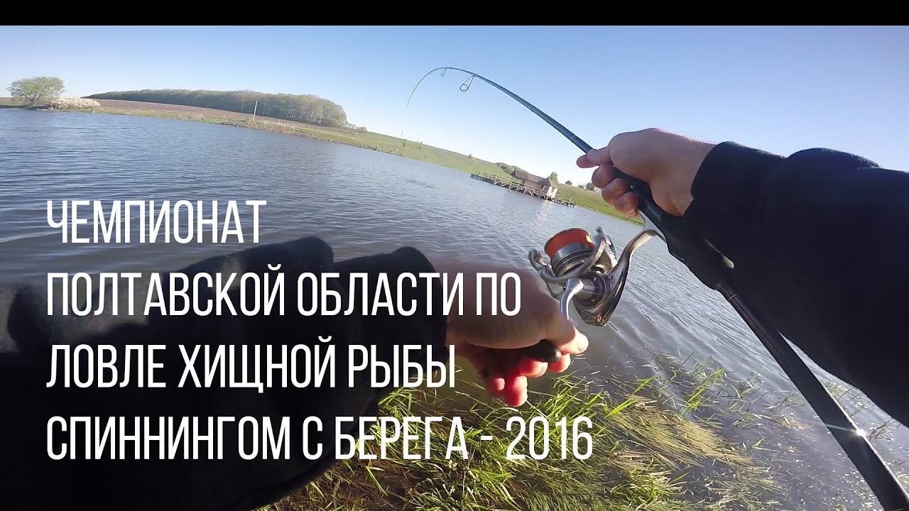 Спиннинг Лайф Интернет Магазин Спиннинг Лайф Интернет Магазин