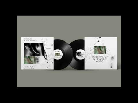 DJ Surgeles - Melodie Du Nature