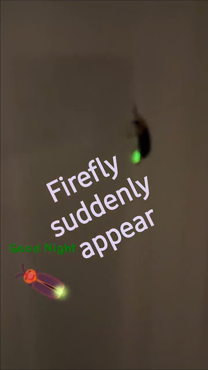 Download lagu #firefly #artstudio#Jejuartstudio