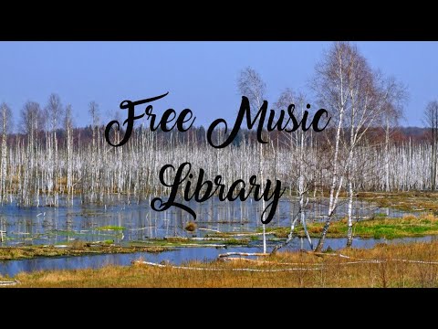 royalty-free-music-library-♫-brooker's-blues---audionautix