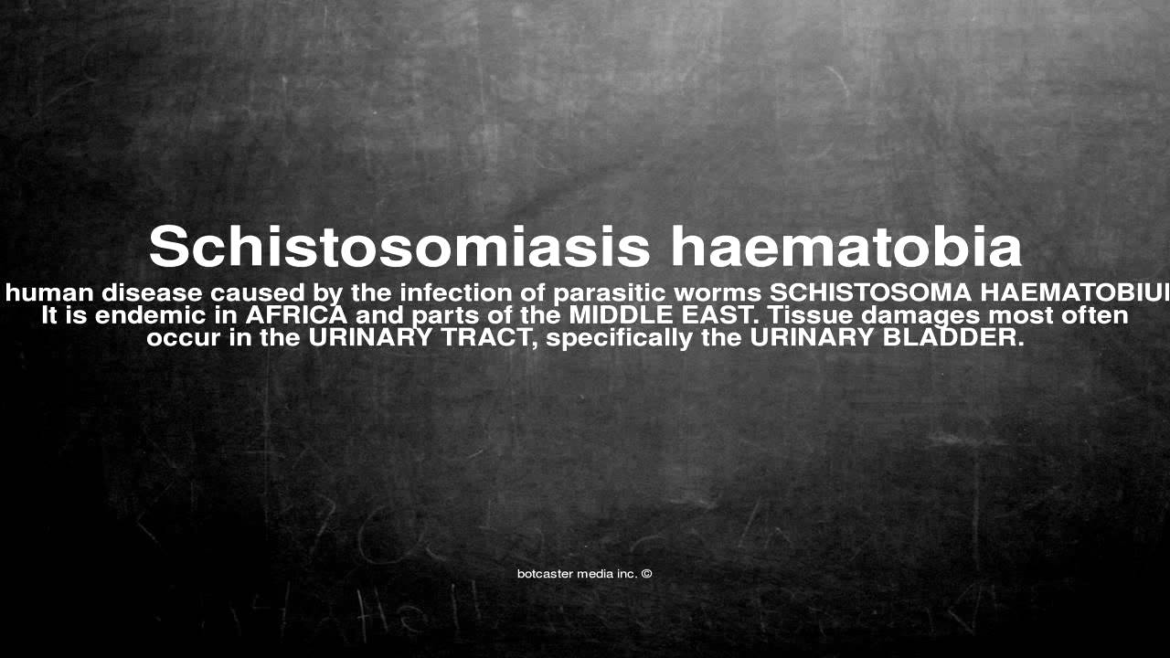 Medical vocabulary: What does Schistosomiasis haematobia mean