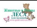 ЖИВОТНЫЕ ЛЕСА для Малышей. Карточки Домана. Развивающее видео