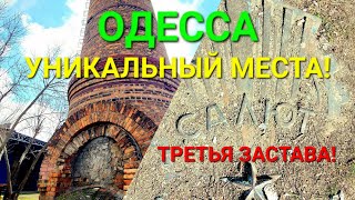 Третья Застава Одесса. Пивной завод. Бугаевка. Стадион Салют. Родники. Радио. Виноградная. #зоотроп