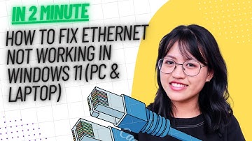 Ethernet Not Working in Windows 11? (PC & Laptop Fix Guide)