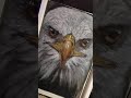 Painting Eagle