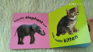 Baby Animals Board Book (with touch & feel texture on front cover)