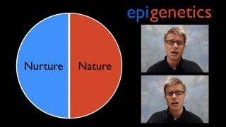 Epigenetics