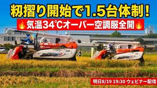 籾摺りスタートで１．５台体制で稲刈り・それでも乾燥機満タンなのでやはり豊作なのか？・2026